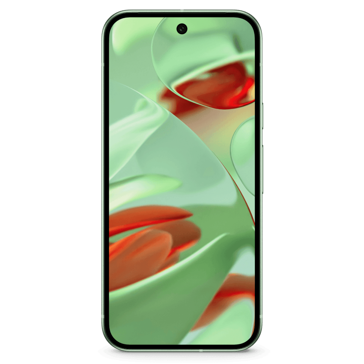 Google Pixel 9 - Unlocked - Excellent-Wintergreen (#c7d9c5)-128GB 3