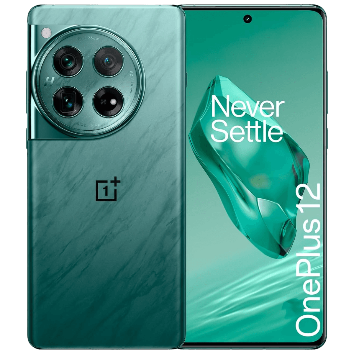 OnePlus 12 - Unlocked - Excellent-Flowy-Emerald (#87b0aa)-256GB 1