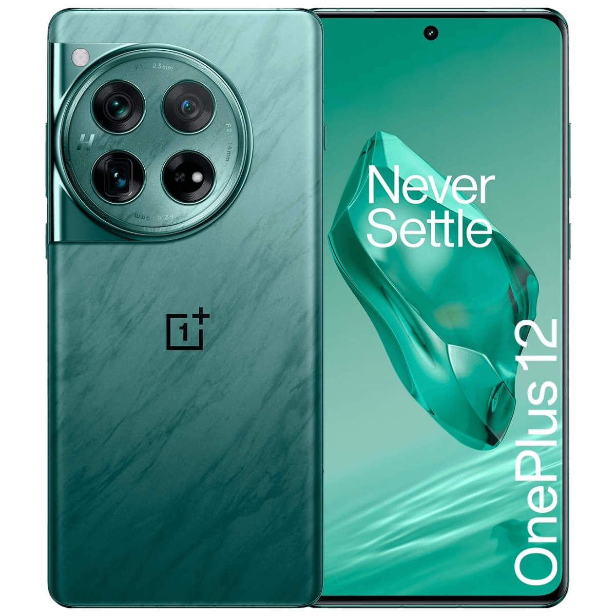 OnePlus 12 - Unlocked - Excellent-Flowy-Emerald (#87b0aa)-256GB